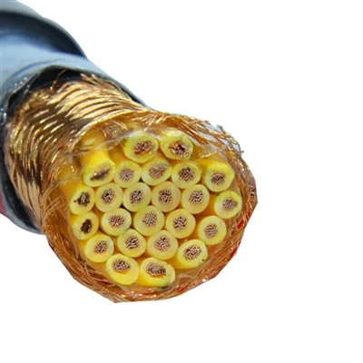 KVVP Shielded Control Cable Piav Qhia: Cov Qauv, Kev Ua Haujlwm & Kev Xaiv Qhia