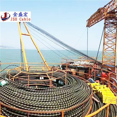 Submarine Optoelectronic Composite Cable